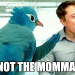 Elon Musk new Twitter CEO | NOT THE MOMMA! | image tagged in elon musk twitter ceo | made w/ Imgflip meme maker