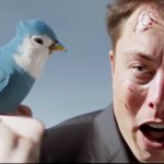 Elon Musk vs. Twitter template