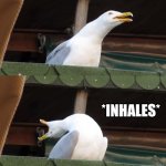 Inhaling seagull | POV: YOU DIDN'T LET YOUR YOUNGER SIBLING PLAY WITH YOU; *INHALES*; MOOOOOOOOOOOOOM!!!!!!! | image tagged in inhaling seagull,memes,funny,relatable,siblings,funny memes | made w/ Imgflip meme maker