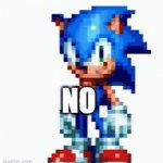 no | NO | image tagged in gifs,sonic | made w/ Imgflip video-to-gif maker