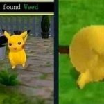 pikachu found weed template