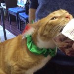 Just a bite