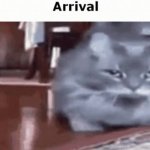 arrival cat GIF Template