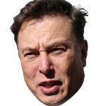 Elon face