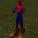 Spider-man with timbs
