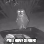 You have sinned owl