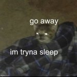 im tryna sleep | go away; im tryna sleep | image tagged in cat in a blanket | made w/ Imgflip meme maker