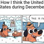 The United States during December | How I think the United States during December | image tagged in this is fine snow,united states,this is fine,christmas,december,memes | made w/ Imgflip meme maker