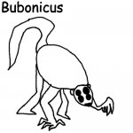 Bubonicus