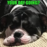 Sleepy Coda | SO…HOW’S YOUR DAY GOING? | image tagged in sleep,i hate mondays,bad day,having a bad day,hello | made w/ Imgflip meme maker