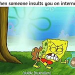 visible frustration | when someone insults you on internet: | image tagged in visible frustration | made w/ Imgflip meme maker