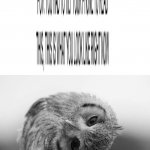 This took longer to make than I expected it to, tilt your phone screen upside down and look from the charging port | image tagged in owl with head tilted to the side,memes,funny,text,difficult,hmmm | made w/ Imgflip meme maker