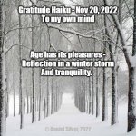 Gratitude Haiku - Nov 20, 2022