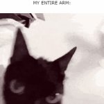 rip my nervous system | ME: HITS ELBOW
MY ENTIRE ARM: | image tagged in gifs,cat,cats | made w/ Imgflip video-to-gif maker