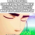 It’s beautiful | WHEN YOU SEE A COMMENT IN THE COMMENT SECTION THAT IS EXACTLY WHAT YOU WERE GONNA SAY | image tagged in ah i see you are a man of culture as well,culture,comment section,comments,i like your funny words magic man | made w/ Imgflip meme maker