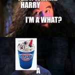 YOU’RE A BliZzArd hAIRy | YER A WIZARD HARRY                                      I’M A WHAT? A BLIZZARD | image tagged in you are wizzard harry | made w/ Imgflip meme maker