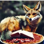 Jackal Reading Book and Eating Pie