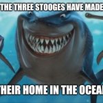 Finding Nemo Sharks | THE THREE STOOGES HAVE MADE; THEIR HOME IN THE OCEAN | image tagged in finding nemo sharks | made w/ Imgflip meme maker