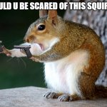 would u? | WOULD U BE SCARED OF THIS SQUIRREL | image tagged in stop squirrel | made w/ Imgflip meme maker