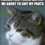 JUST LET ME GO | ME: CAN I USE THE BATHROOM? TEACHER: I DON'T KNOW, CAN YOU? ME ABOUT TO SHIT MY PANTS: | image tagged in dissapointment cat | made w/ Imgflip meme maker