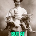 Crazy Cat Lady Logic | I MIGHT BE A CRAZY CAT LADY; BUT AT LEAST I LEAVE MY PETS AT HOME | image tagged in crazy cat lady,logic,pets,so true memes,cat memes,funny | made w/ Imgflip meme maker