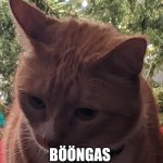 Bööngas. | BÖÖNGAS | image tagged in b ngas | made w/ Imgflip meme maker