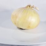 Onion on a plate