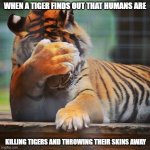Facepalm Tiger | WHEN A TIGER FINDS OUT THAT HUMANS ARE; KILLING TIGERS AND THROWING THEIR SKINS AWAY | image tagged in facepalm tiger | made w/ Imgflip meme maker