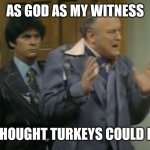 WKRP Cincinnati Turkey Drop | AS GOD AS MY WITNESS; I THOUGHT TURKEYS COULD FLY | image tagged in wkrp in cincinnati s infamous turkey drop episode,radio,turkey,thanksgiving,helicopter,giveaway | made w/ Imgflip meme maker