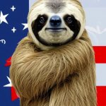 Patriotic sloth