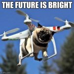 I would be okay with this | THE FUTURE IS BRIGHT | image tagged in flying pug | made w/ Imgflip meme maker