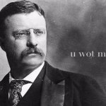 Teddy Roosevelt u wot m8