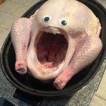 OMG Turkey