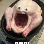 OMG! | OMG! | image tagged in omg turkey | made w/ Imgflip meme maker