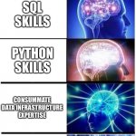Expanding Brain 5-Part | EXCEL SKILLS; SQL SKILLS; PYTHON SKILLS; CONSUMMATE DATA INFRASTRUCTURE EXPERTISE; CAN HAVE A NORMAL CONVERSATION WITH MOST PEOPLE | image tagged in expanding brain 5-part | made w/ Imgflip meme maker