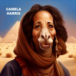 Camela Harris