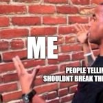 this title was typed by a human, i am self-aware. | ME; PEOPLE TELLING ME I SHOULDNT BREAK THE FOURTH WALL | image tagged in brick wall | made w/ Imgflip meme maker