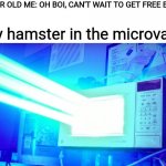 Taken from polygon donut's video called "discord gifs in the nutshell 3" | 6 YEAR OLD ME: OH BOI, CAN'T WAIT TO GET FREE BOBUX! My hamster in the microvave: | image tagged in laser microwave,roblox,bobux,hamster | made w/ Imgflip meme maker
