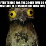 I’m going crazy | ME AFTER TRYING FOR THE 394TH TIME TO MAKE A GOOD MEME AND IT GETS NO MORE THAN TWO UPVOTES | image tagged in memes,weird stuff i do potoo | made w/ Imgflip meme maker