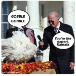 Biden is for the birds meme