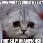 sad kitty | HOW LONG WILL YOU FORGET ME BECAUSE; OF THAT SILLY CHAMPIONSHIP? | image tagged in sad kitty | made w/ Imgflip meme maker