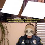 Cop sloth they're the same picture meme