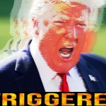 Donald Trump triggered