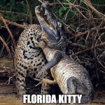 Florida Kitty | FLORIDA KITTY
REAL HUNGRY | image tagged in florida cat,jaguar,aligator,gator,food | made w/ Imgflip meme maker