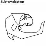 Subterrolosteus