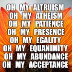 gratitude | OH   MY   ALTRUISM 
OH   MY   ATHEISM
OH   MY   PATIENCE
OH   MY   PRESENCE
OH   MY   EGALITY 
OH   MY   EQUANIMITY 
OH   MY   ABUNDANCE
OH   MY   ACCEPTANCE | image tagged in gratitude | made w/ Imgflip meme maker