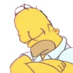 Homer Asleep