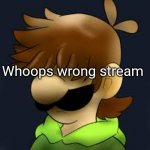 Whoops | Whoops wrong stream | image tagged in depressed status | made w/ Imgflip meme maker