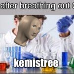 kemistree | Me after breathing out Co2 | image tagged in kemistree,funny memes,memes,chemistry,meme man,breathing out co2 gas | made w/ Imgflip meme maker