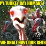 Happy Thanksgiving 2022..... you made it this far right? | HAPPY TURKEY DAY HUMANS! WE SHALL HAVE OUR REVENGE! | image tagged in turkeys,thanksgiving,good day,feast,food | made w/ Imgflip meme maker